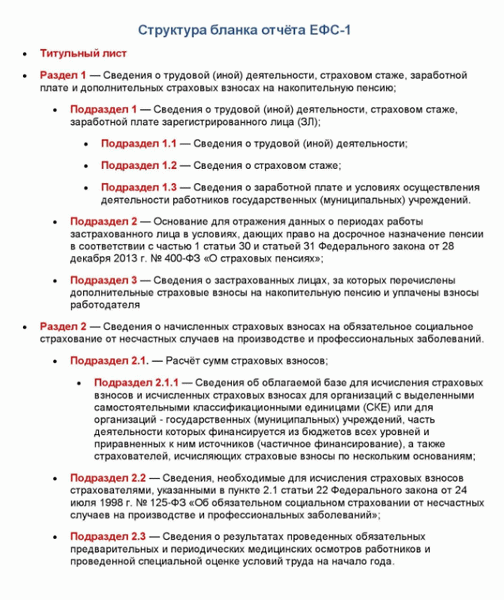 Структура бланка отчёта ЕФС-1